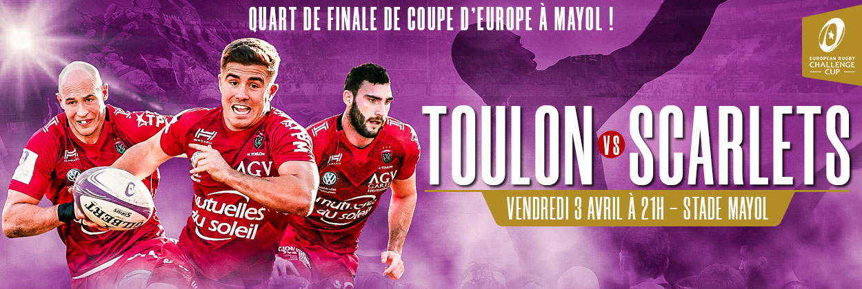 toulon_scarlets_qf_actu_site_1250x420